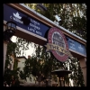 The Vic Public House